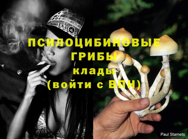каннабис Алексеевка