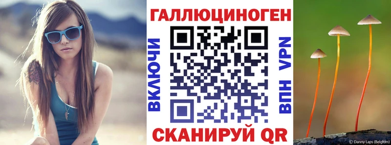 blacksprut как войти  Инсар  Галлюциногенные грибы Psilocybe 